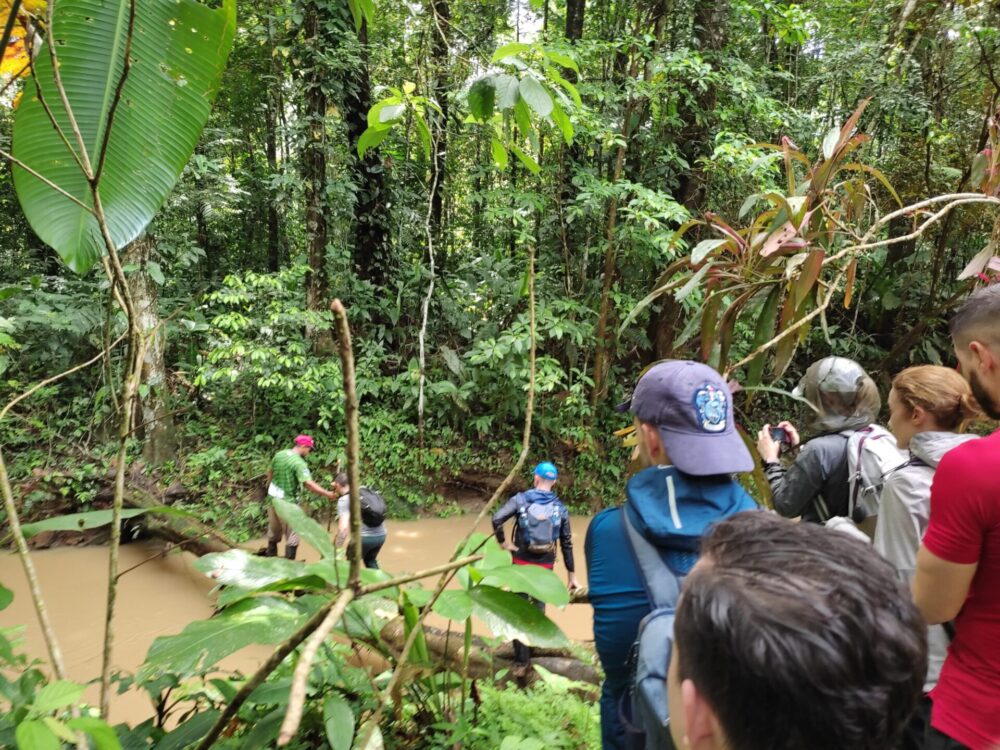 Caminatas en Gandoca Manzanillo Talamanca. Sendero Cativo