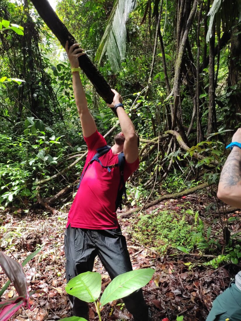 Caminatas en Gandoca Manzanillo Talamanca. Sendero Cativo